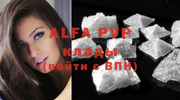 PSILOCYBIN Белоозёрский
