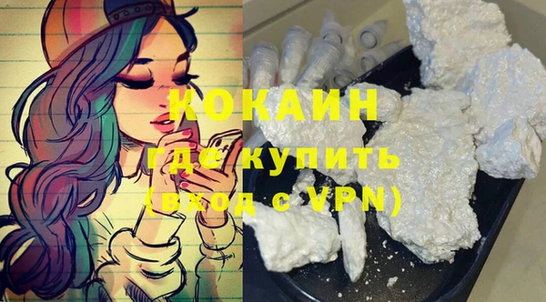 мдпв Богородск