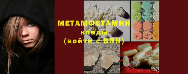 мяу мяу мука Белокуриха