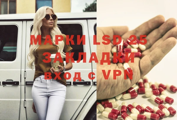 шишки Алагир
