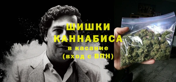 PSILOCYBIN Белоозёрский