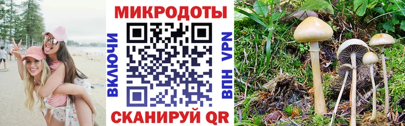 Псилоцибиновые грибы мицелий  Маркс 